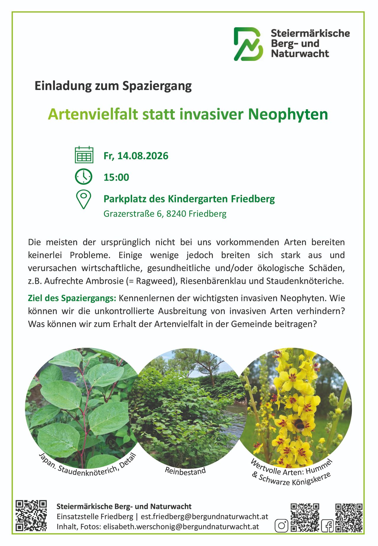 Einladung zum Spaziergang: Artenvielfalt statt invasiver Neophyten. Datum: Fr, 14.08.2026 Zeit: 15:00 Ort: Parkplatz des Kindergarten Friedberg, Grazerstraße 6, 8240 Friedberg. Lernen Sie invasive Arten und ihre Auswirkungen kennen.