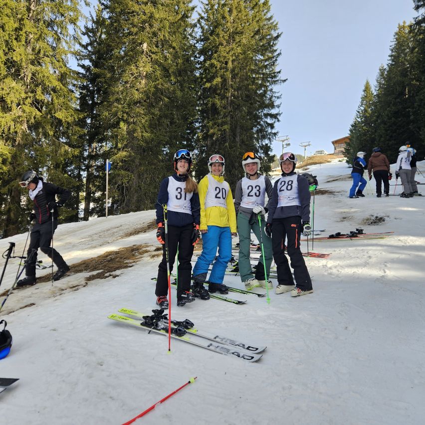 Eine Gruppe von Skifahrern mit Nummern auf ihren Jacken steht auf einem verschneiten Hang. Sie sind von hohen Bäumen und wandernden Menschen im Hintergrund umgeben.