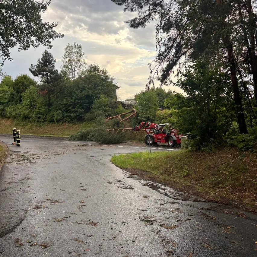 Zwei Feuerwehrleute stehen auf einer nassen Straße mit einem umgestürzten Baum und einem roten Traktor in der Nähe.