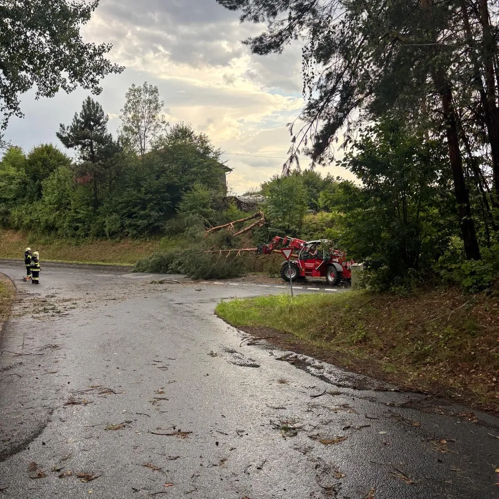Zwei Feuerwehrleute stehen auf einer nassen Straße mit einem umgestürzten Baum und einem roten Traktor in der Nähe.