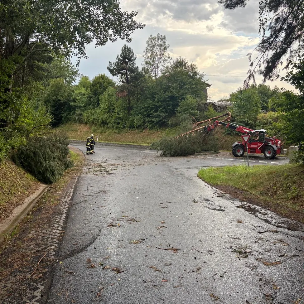 Zwei Feuerwehrleute gehen auf einer Straße mit einem umgestürzten Baum, während ein roter Bagger den Baum räumt.