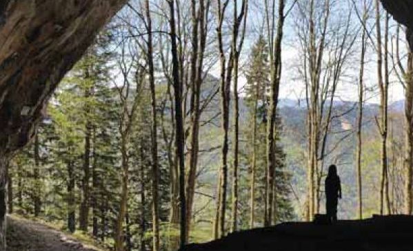 v1_migrated_image_7417165