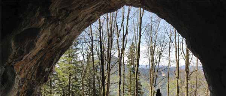 Bild enthält, Vegetation, Nature, Outdoors, Tree, Woodland, Cave, Person