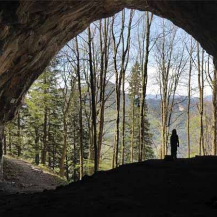 Bild enthält, Vegetation, Nature, Outdoors, Tree, Woodland, Cave, Person