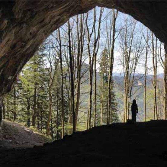 Bild enthält, Vegetation, Nature, Outdoors, Tree, Woodland, Cave, Person
