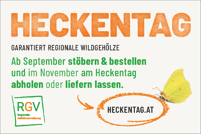 Plakat für Heckentaag, eine garantierte regionale Wildwald-Veranstaltung. Es ermutigt die Menschen, im September zu stöbern und zu bestellen und im November abzuholen oder liefern zu lassen. Ein gelber Schmetterling ist auf dem Plakat abgebildet.