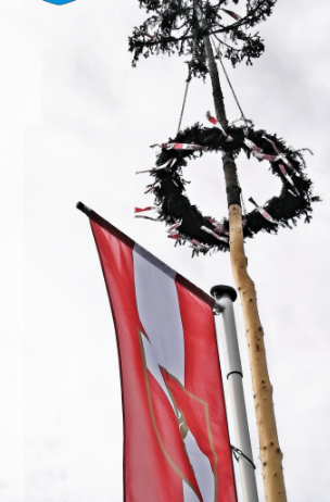 Bild enthält, Plant, Tree, Flag