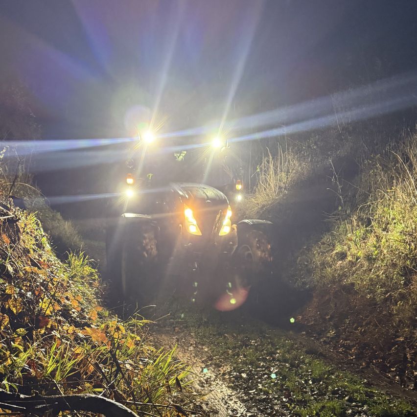 Ein Traktor fährt bei Nacht auf einem schmalen, dunklen Pfad, seine Scheinwerfer beleuchten den Weg. Die Umgebung ist dunkel und von hohem Gras und Blättern umgeben.