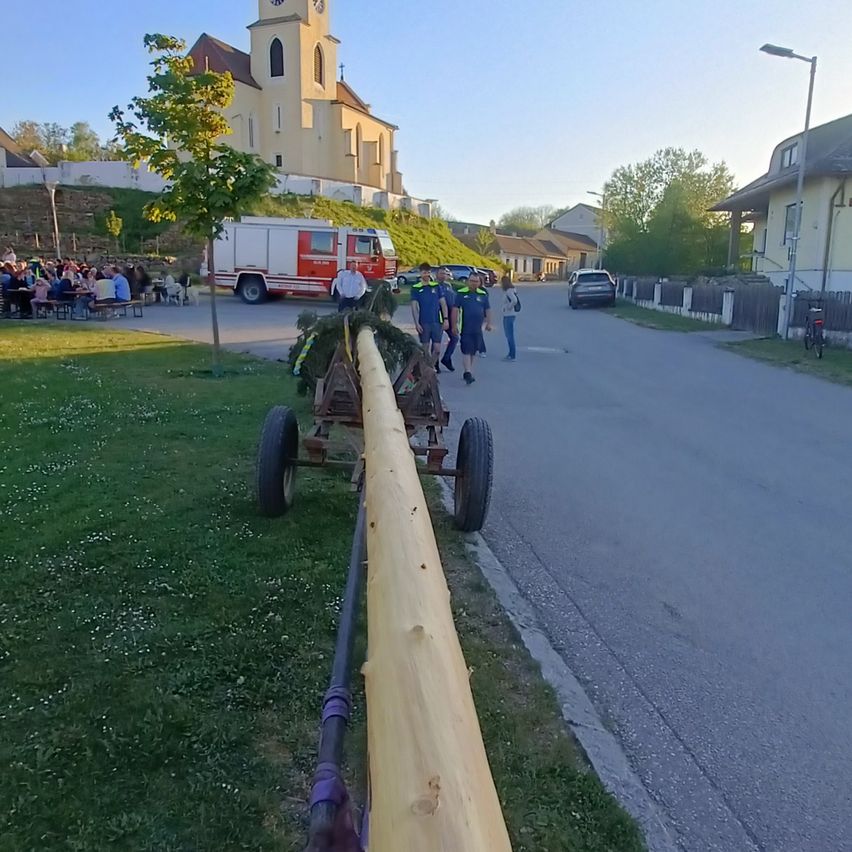 Eine Gruppe von Menschen geht mit einem großen Baumstamm auf einem Karren die Straße entlang. Ein Feuerwehrauto ist in der Nähe geparkt. Im Hintergrund steht eine Kirche und eine Menge Menschen sitzen auf Bänken.