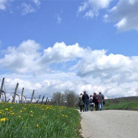 Bild enthält, Person, Walking, Field, Grassland, Nature, Outdoors, Sky, Grass, Road, Meadow