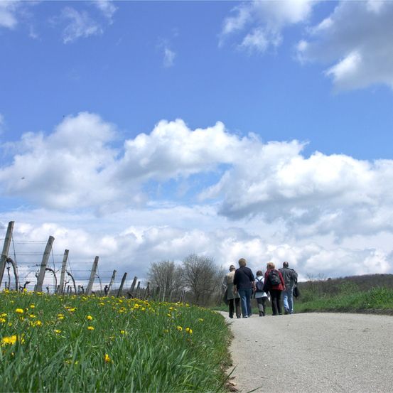 Bild enthält, Person, Walking, Field, Grassland, Nature, Outdoors, Sky, Grass, Road, Meadow