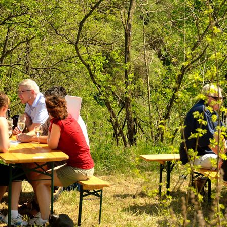 Bild enthält, Vegetation, Shoe, Adult, Female, Person, Woman, Nature, Outdoors, Male, Man