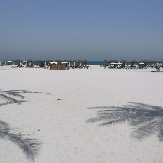 Eine ruhige Strandszene mit Reihen weißer Sonnenschirme, Liegestühlen und einer klaren Aussicht auf das Meer. Der Strand ist sandig und erstreckt sich mit Palmen, die Schatten werfen.
