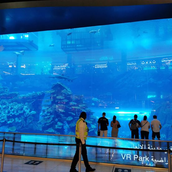 Besucher betrachten ein Aquarium mit Fischen und einem Hai durch eine Glaswand. Eine Person in einer Warnweste geht vorbei.
