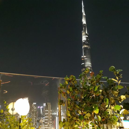 Eine Nachtansicht des Burj Khalifa Wolkenkratzers in Dubai, umgeben von Stadtlicht und Grün.
