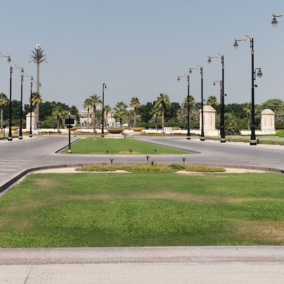Eine leere Straße mit gepflegten Rasenflächen und Straßenlaternen. Palmen und andere Grünflächen säumen die Straßenseiten.