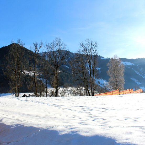 Verschneite Landschaft mit Bergen im Hintergrund, kahlen Bäumen und einem kleinen Zelt im Vordergrund.