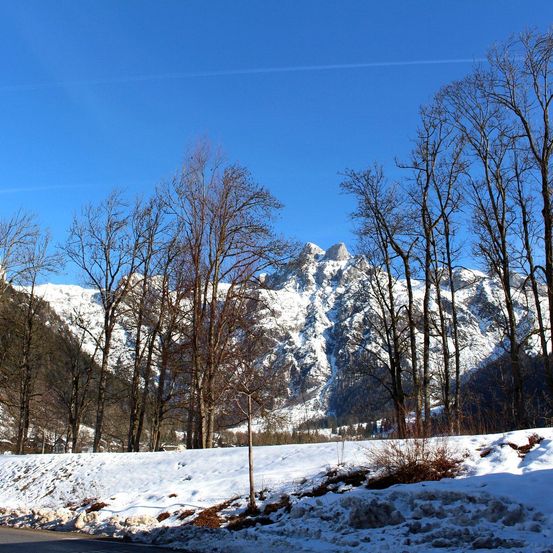 Eine Landschaft mit schneebedeckten Bergen und kahlen Bäumen im Vordergrund, unter einem klaren blauen Himmel.