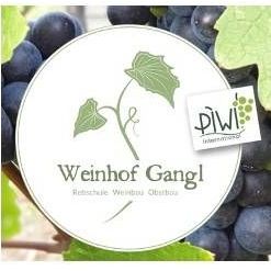 v1_migrated_image_82481759