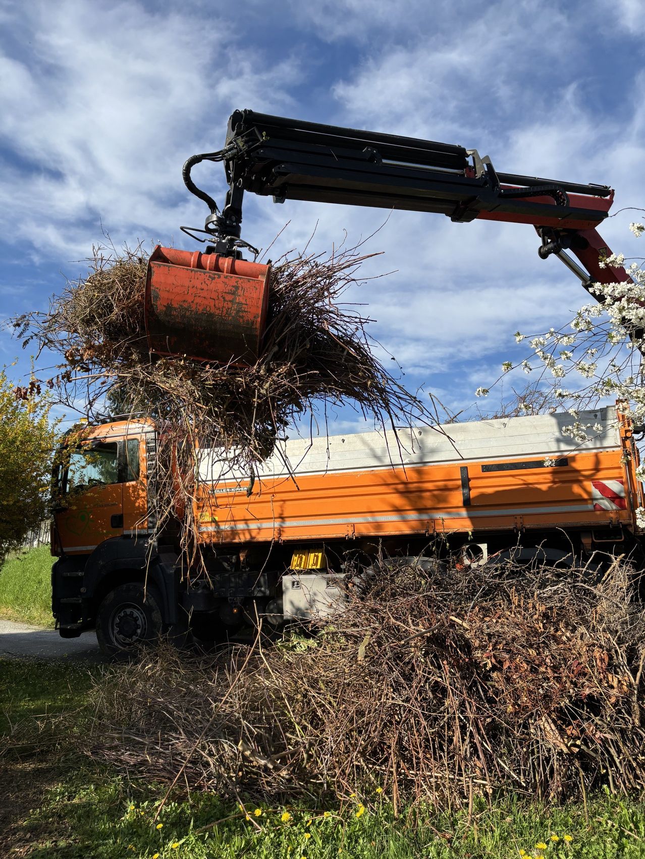 Ein orangefarbener Lastwagen mit einer Kranvorrichtung lädt Äste in seinen Laderaum. Der LKW steht am Straßenrand neben einem Grasfeld und Bäumen.