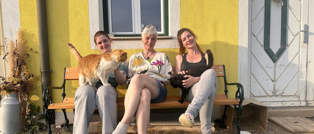 Drei Frauen sitzen auf einer Bank vor einem gelben Haus, jede hält eine Katze. Die Frau links hält eine orange Katze, die Frau in der Mitte eine schwarze Katze, und die Frau rechts lächelt.