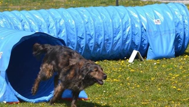 v1_migrated_image_94025199