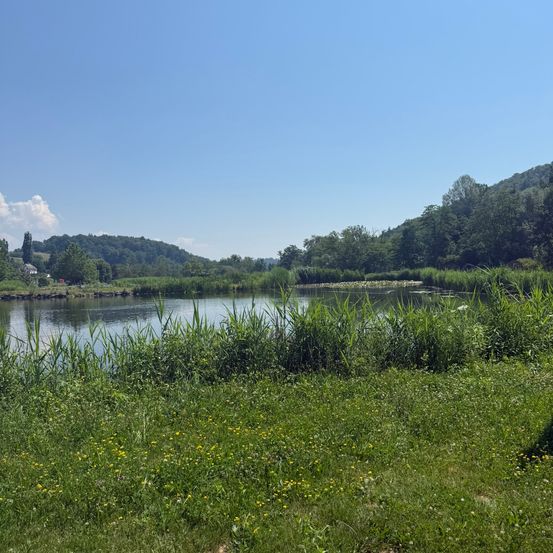 Ein ruhiger See, umgeben von üppigem Grün unter einem klaren blauen Himmel, mit Hügeln und Bäumen im Hintergrund.