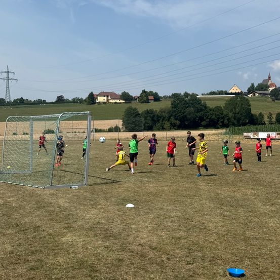 Eine Gruppe von Kindern spielt Fußball auf einem Grasfeld mit einem Tor im Hintergrund.