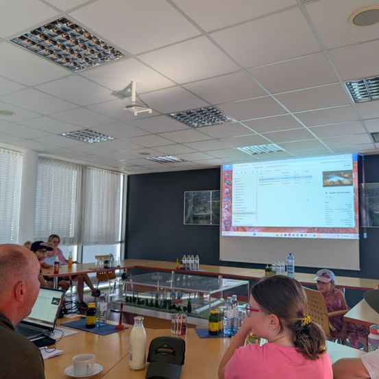 Eine Gruppe von Menschen in einem Konferenzraum schaut sich eine Präsentation auf einer Projektionsleinwand an. Flaschen, ein Laptop und eine Tasse stehen auf dem Tisch. Eine Frau in einem rosa Shirt schaut auf den Bildschirm.