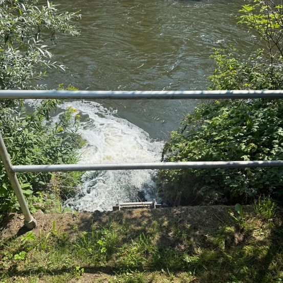 Ein Blick auf einen Fluss mit fließendem Wasser, umgeben von Grün und einem Metallgeländer.