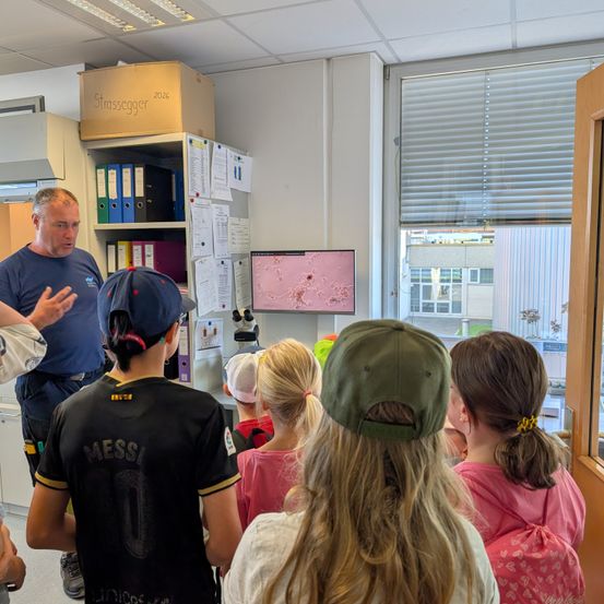Eine Gruppe von Kindern und ein erwachsener Mann versammeln sich in einem Raum und betrachten einen Monitor, der ein mikroskopisches Bild zeigt. Der Mann erklärt etwas, während die Kinder aufmerksam zuhören.