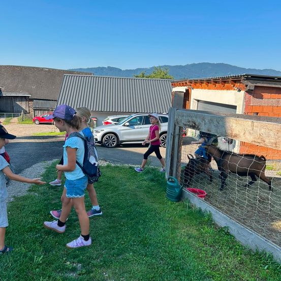 Eine Gruppe von Kindern besucht einen Bauernhof, steht in der Nähe eines Zauns mit Ziegen, während eine Frau mit einem geparkten Auto vorbeigeht.