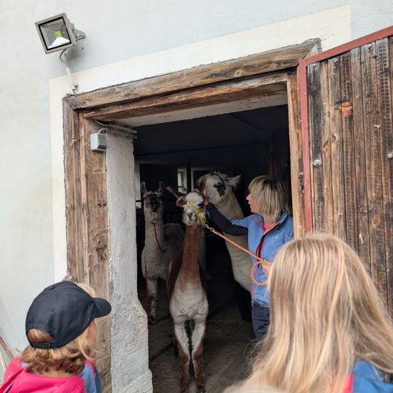Eine Frau führt zwei Alpakas aus einem Stall, während Kinder zusehen. Der Stall hat Holztüren und eine weiße Wand.