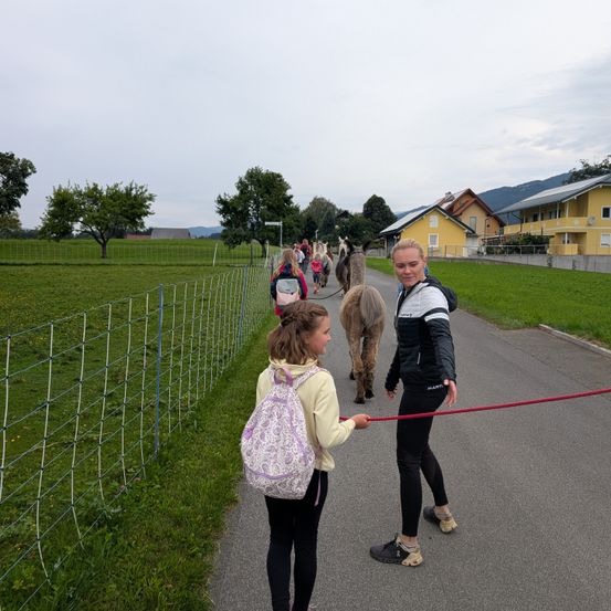 Eine Frau und ein Mädchen führen zwei Alpakas auf einem Pfad, mit weiteren Alpakas und Menschen im Hintergrund. Die Alpakas tragen Rucksäcke.