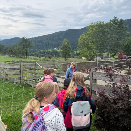 Eine Gruppe von Kindern, die Rucksäcke tragen, steht in einem Feld mit einem Holzzaun. Eine Frau in einer blauen Jacke führt sie an. Im Hintergrund befindet sich eine Bergkette mit Bäumen und einem Haus.