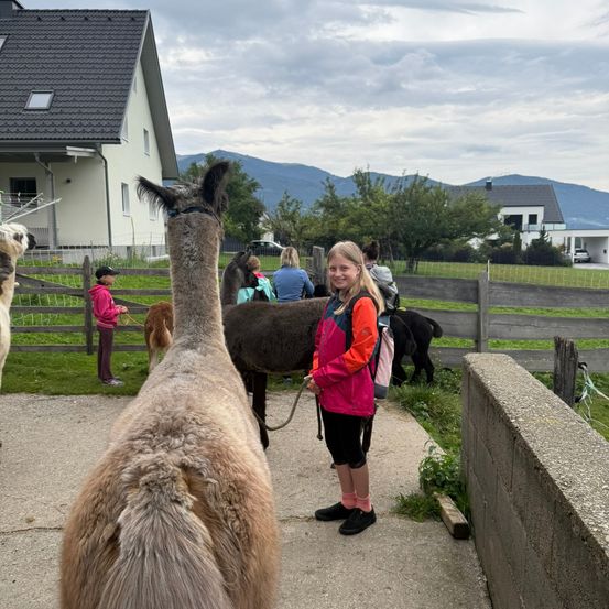 Ein Mädchen steht neben einem braunen Alpaka, lächelt und im Hintergrund sind andere Alpakas und Menschen zu sehen.