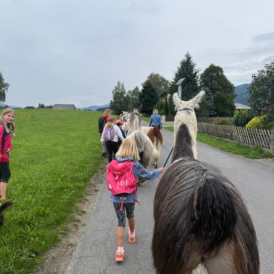 Eine Gruppe von Kindern mit Rucksäcken führt eine Reihe von Pferden auf einem asphaltierten Weg. Die Pferde sind unterschiedlicher Farben und werden von einer Frau mit einem rosa Rucksack geführt.