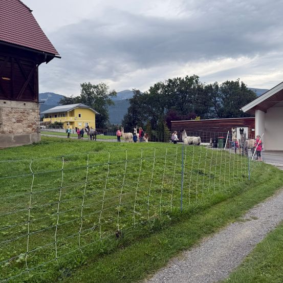 Ein eingezäunter Grasfeld mit mehreren Menschen und Alpakas in der Nähe eines gelben Hauses und Bergen im Hintergrund.