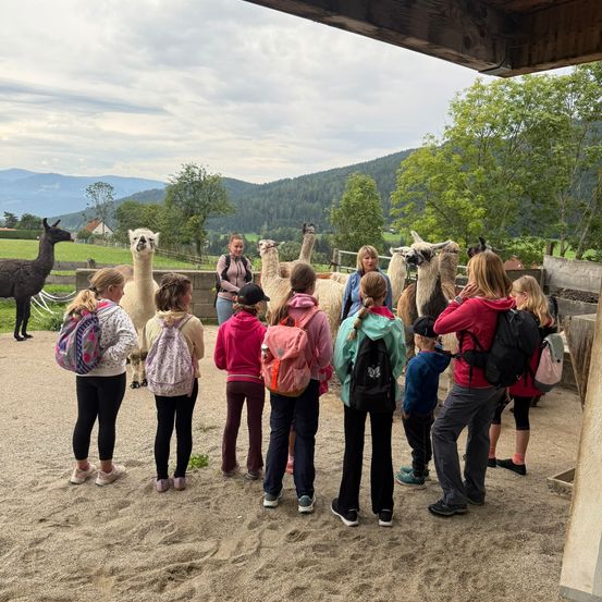Eine Gruppe von Kindern und Erwachsenen steht in einem sandigen Bereich und beobachtet Alpakas in einer landwirtschaftlichen Umgebung im Freien, mit Bergen im Hintergrund.