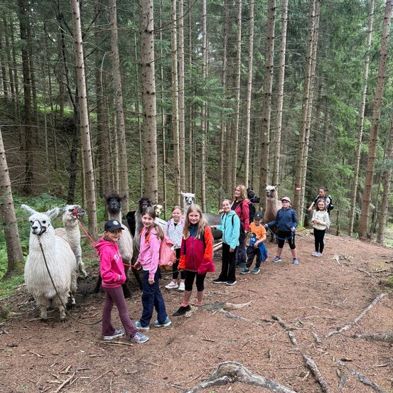 Eine Gruppe von Kindern und Erwachsenen wandert mit Alpakas durch einen Wald. Die Alpakas werden an Seilen geführt. Die Kinder tragen Jacken und Turnschuhe. Die Erwachsenen tragen Hüte und tragen Rucksäcke. Der Wald ist von hohen Bäumen umgeben.