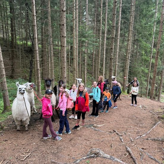 Eine Gruppe von Kindern und Erwachsenen befindet sich in einem Wald, einige halten die Leinen von Alpakas. Die Alpakas stehen in einer Reihe, und einige schauen zur Kamera. Die Kinder tragen Jacken und Turnschuhe. Der Wald ist von hohen Bäumen umgeben.