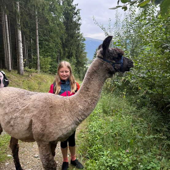 Ein junges Mädchen steht neben einem Alpaka auf einem Waldweg, mit einem Rucksack im Hintergrund und Bergen in der Ferne.