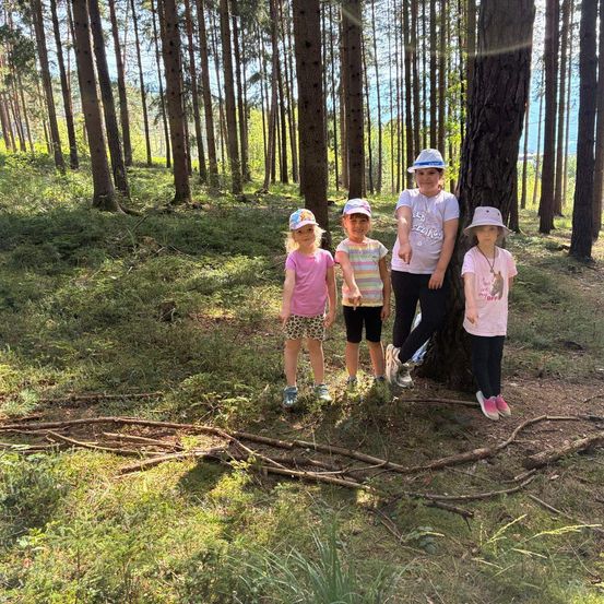 Fünf junge Mädchen, alle mit Hüten, stehen in einem Wald mit hohen Bäumen und grünem Gras. Sie posieren für ein Foto.