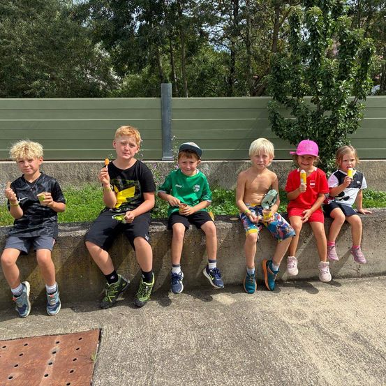 Eine Gruppe von Kindern, die alle Eislutscher halten, sitzen auf einer Betonmauer in einem Park. Sie tragen lässige Sommerkleidung und scheinen ihre Leckereien zu genießen.