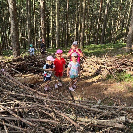 Fünf Kinder stehen in einem Wald, einige halten Stöcke, mit einem Haufen Äste hinter ihnen. Hohe Bäume umgeben das Gebiet.