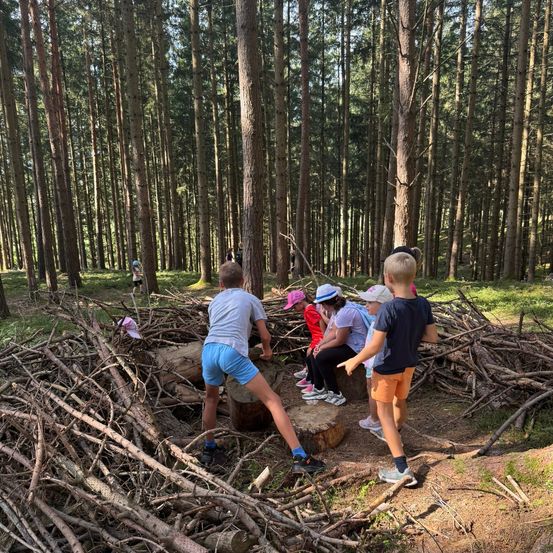 Eine Gruppe von Kindern spielt im Wald, einige sitzen auf einem Baumstumpf und andere stehen herum. Sie sind von Haufen von Ästen umgeben.