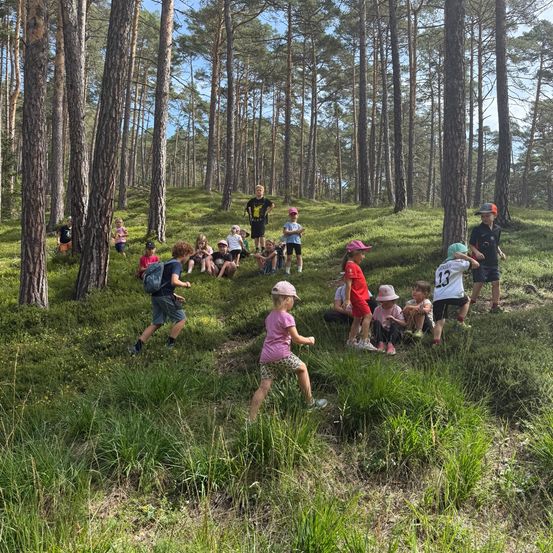 Eine Gruppe von Kindern und Erwachsenen ist im Freien in einem Wald, einige sitzen auf dem Boden und andere gehen. Hohe Bäume umgeben das Gebiet, und der Himmel ist klar.