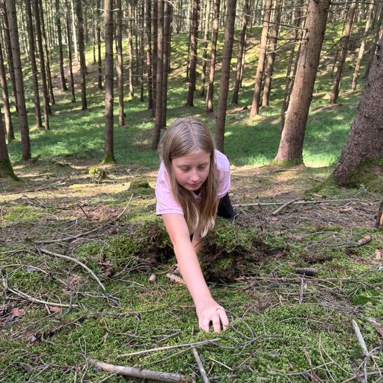 Ein junges Mädchen in einem rosa T-Shirt kriecht auf Moos in einem Wald. Sie schaut auf den Boden.
