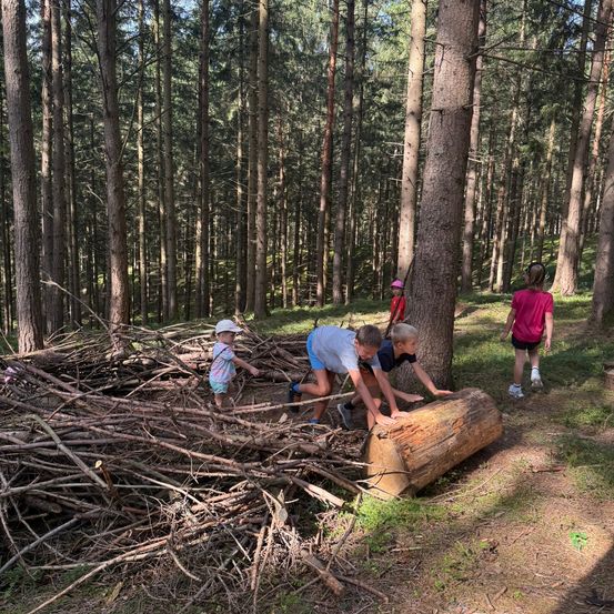 Vier Kinder spielen im Wald, zwei Jungen schieben einen Baumstamm und ein Mädchen steht in der Nähe. Das Mädchen in Pink geht auf die Jungen zu.