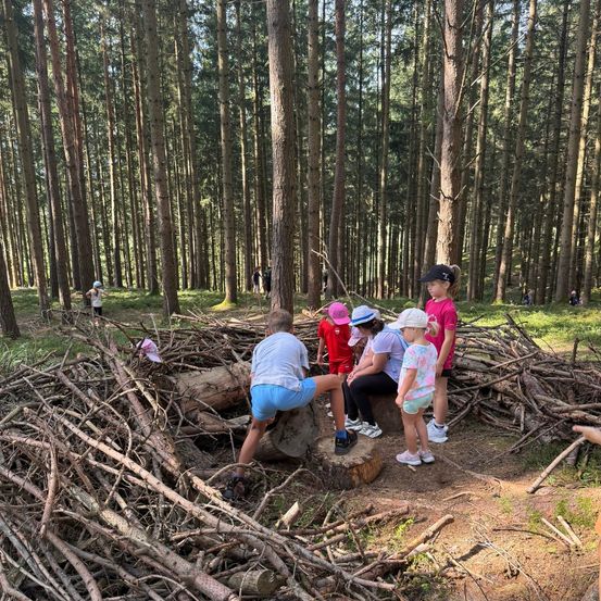 Eine Gruppe von Kindern und Erwachsenen versammelt sich in einem Wald, einige sitzen auf einem Baumstumpf und andere stehen um einen Haufen Äste herum. Sie tragen alle Mützen und Turnschuhe.